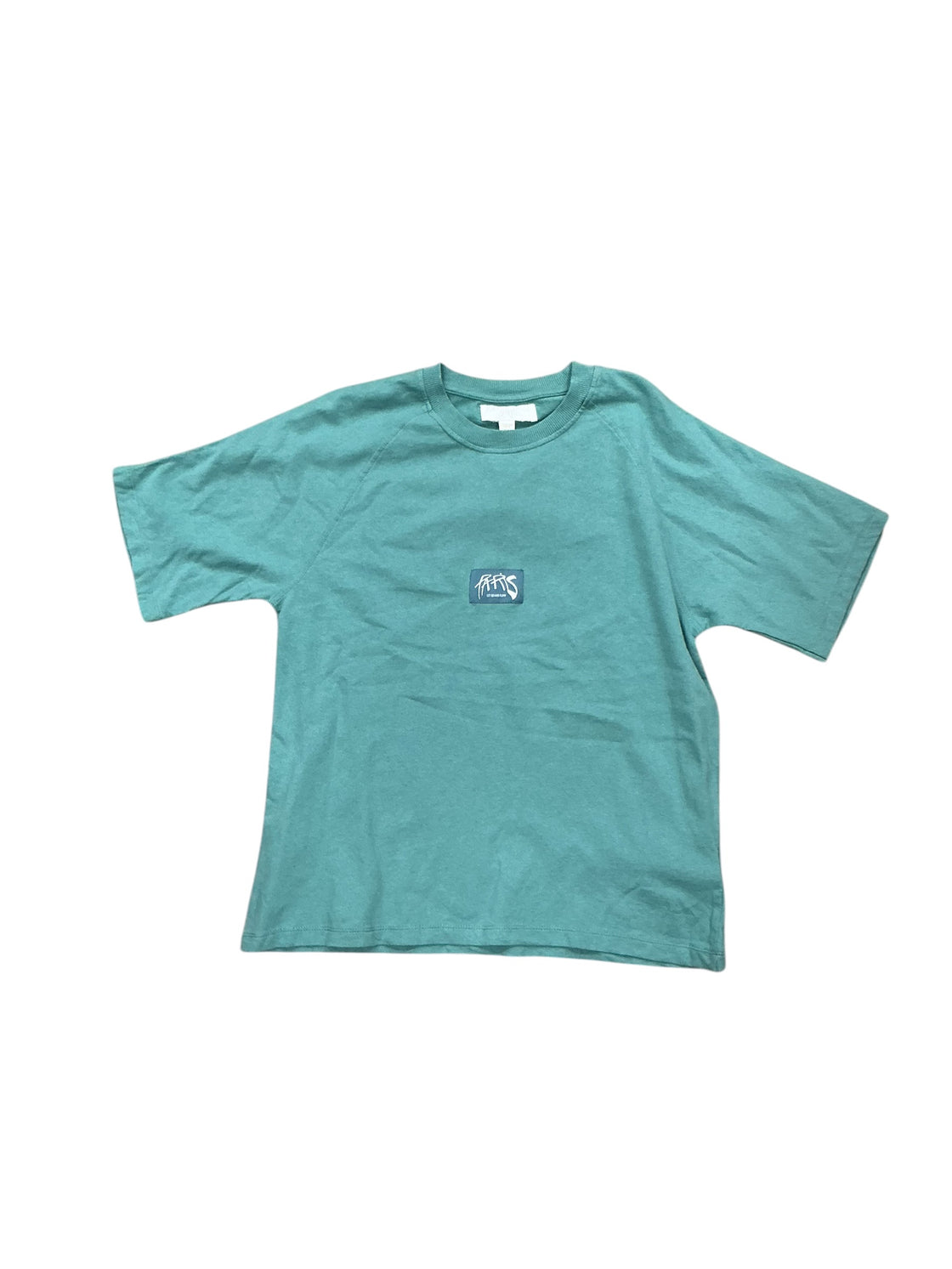 Playera para niño 11/12 (ZARA)