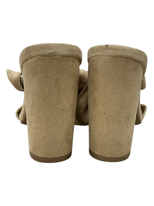 Tacón 6.5 (LULUS)