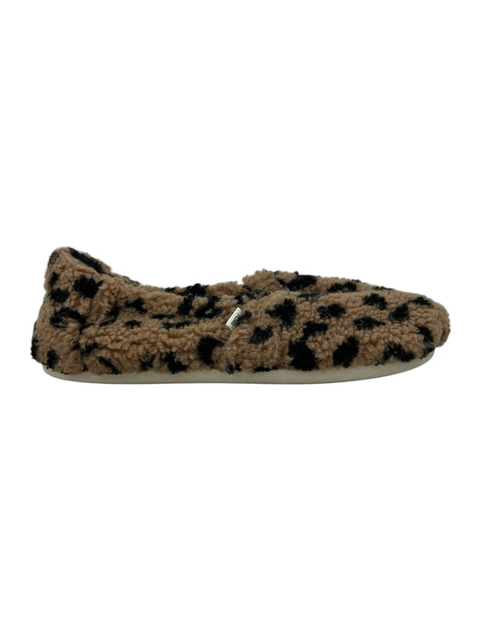 Zapato 7.5 (TOMS)