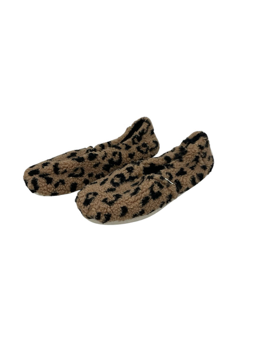 Zapato 7.5 (TOMS)