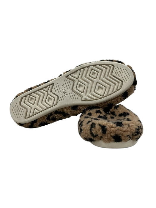 Zapato 7.5 (TOMS)