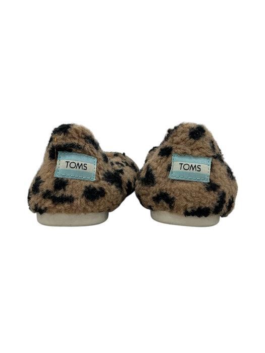 Zapato 7.5 (TOMS)
