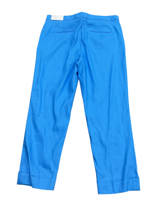 Pantalón 14 (ANN TAYLOR)