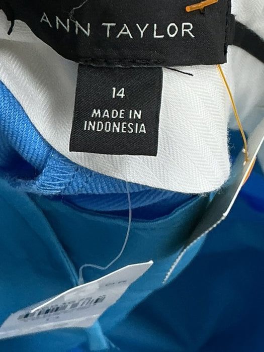 Pantalón 14 (ANN TAYLOR)