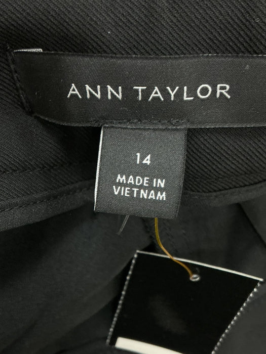 Pantalón 14 (ANN TAYLOR)