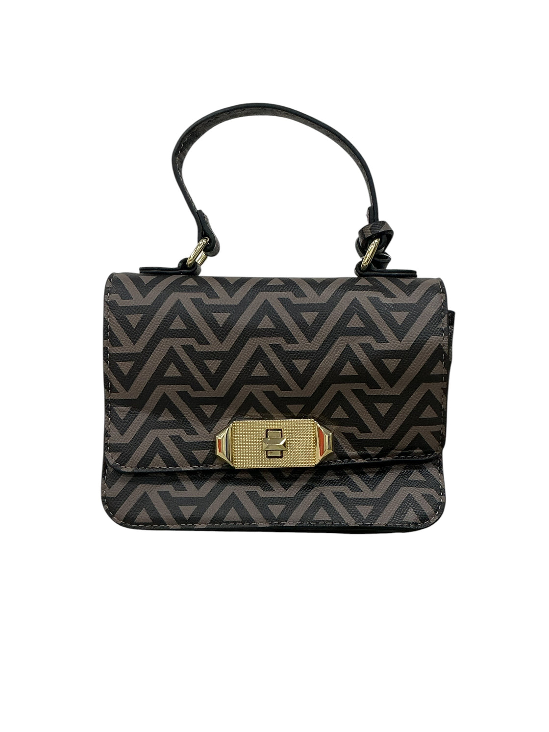Bolso (ALDO)