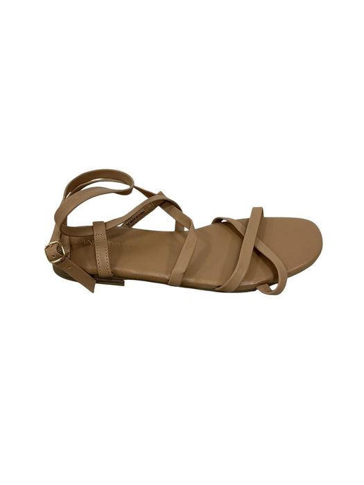Sandalia 7 (LANE BRYANT)