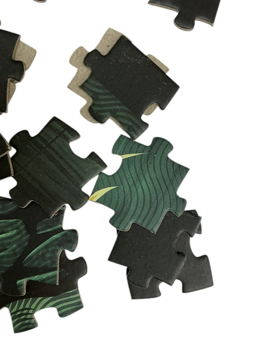 Rompecabezas (PALADONE)