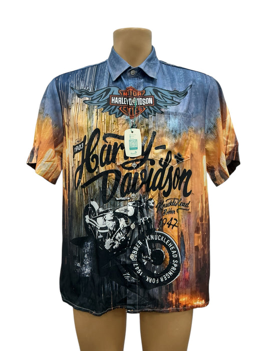 Camisa L (ROYAURA)