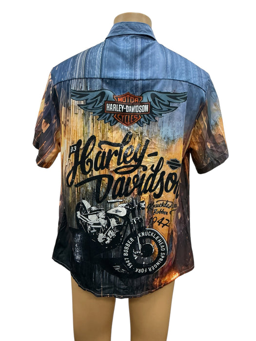 Camisa L (ROYAURA)