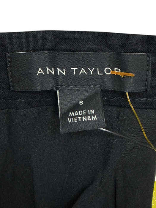 Falda 6 (ANN TAYLOR)