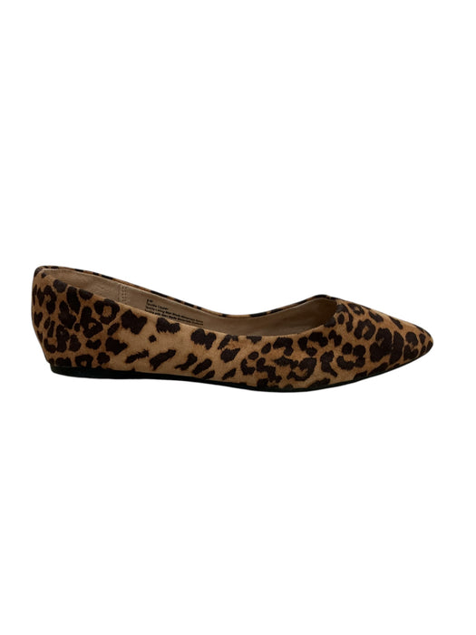 Zapato 9 (A NEW DAY)