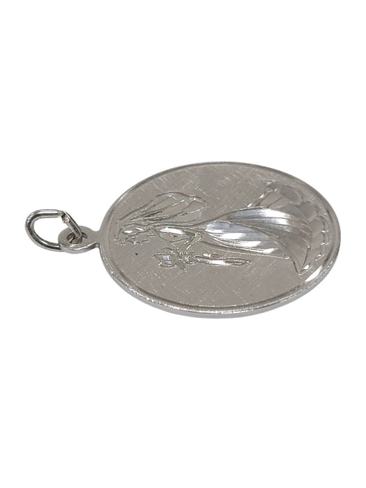 Dije de plata (925)