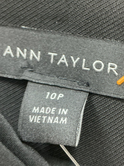 Falda 10 (ANN TAYLOR)