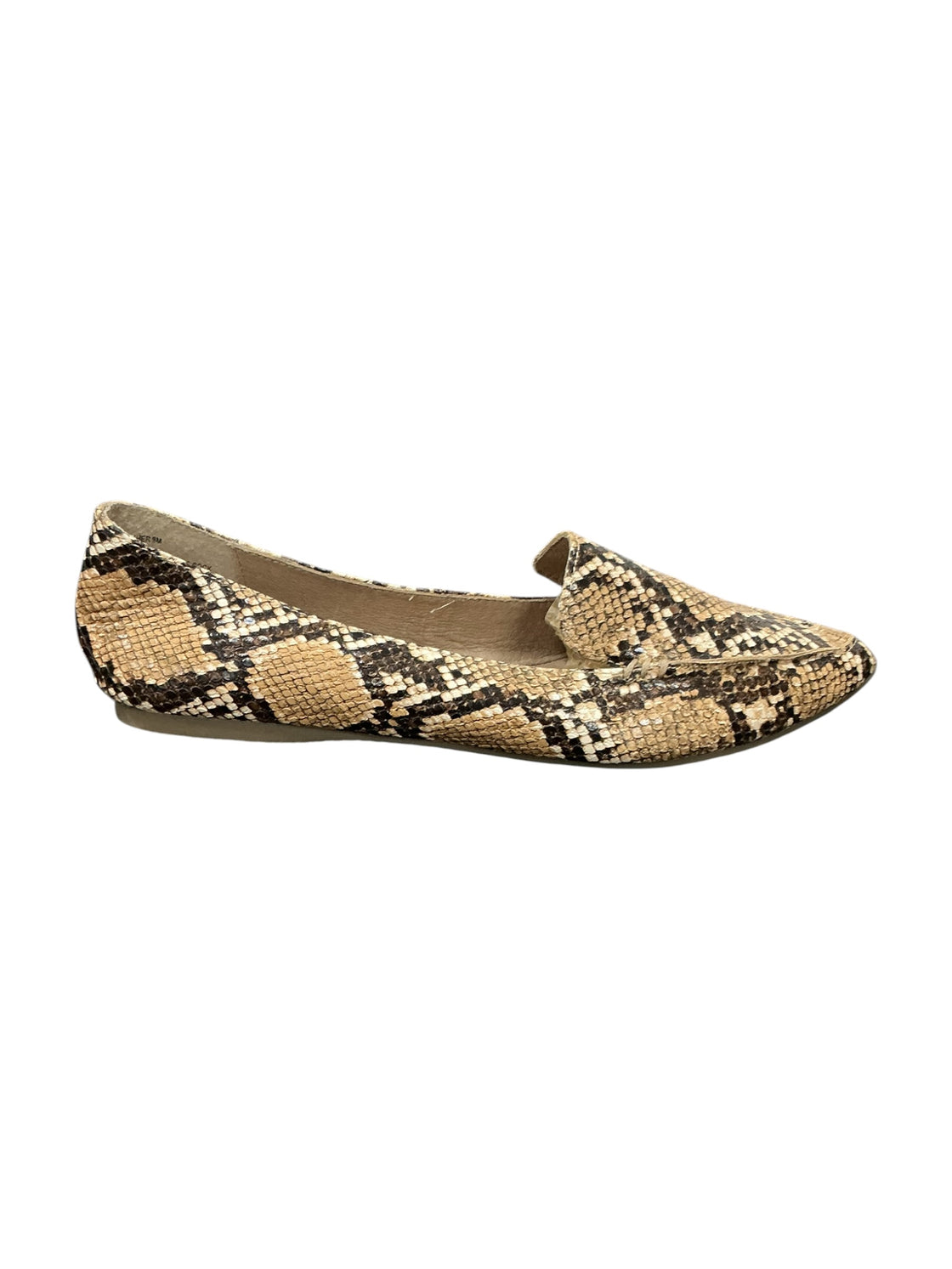Zapato 8 (STEVE MADDEN)
