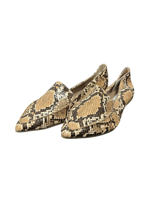 Zapato 8 (STEVE MADDEN)
