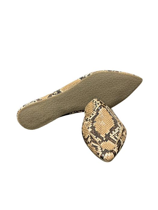Zapato 8 (STEVE MADDEN)