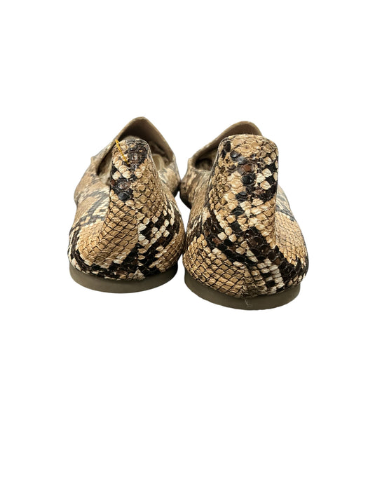Zapato 8 (STEVE MADDEN)