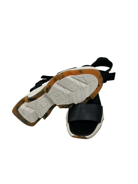 Plataforma 6 (SOREL)