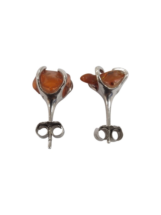 Aretes de plata (925)