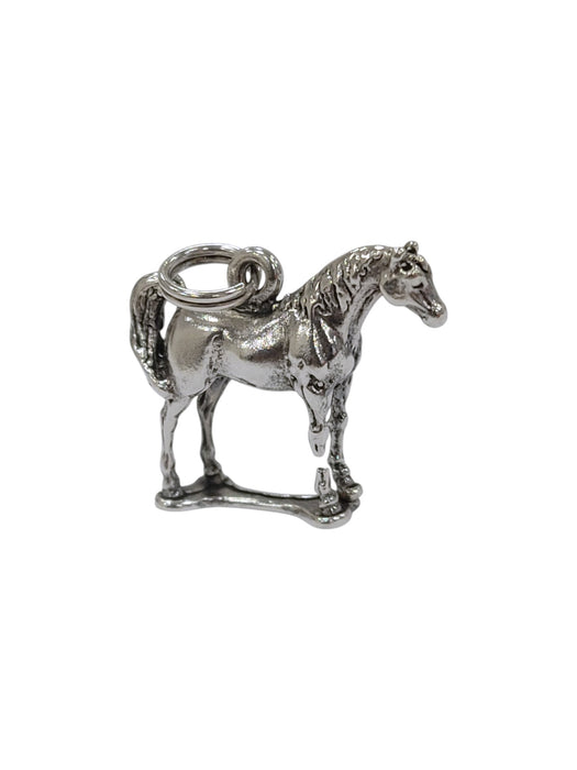Dije de plata (925)