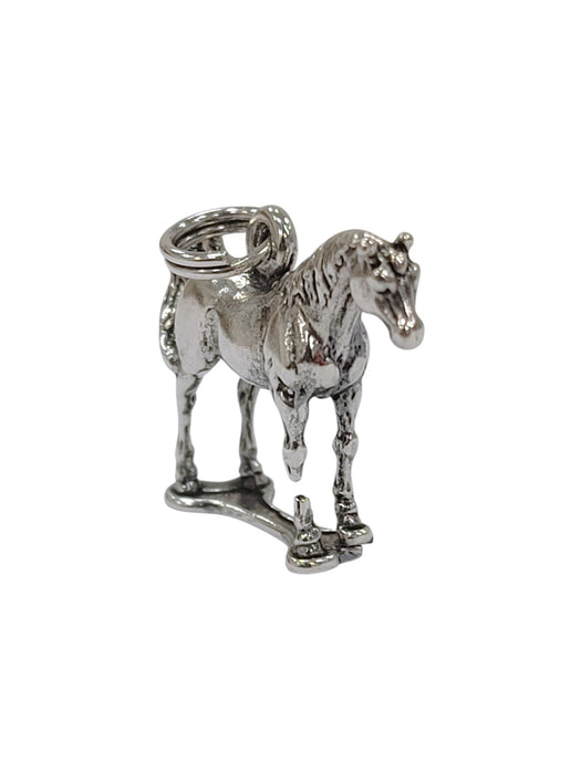Dije de plata (925)