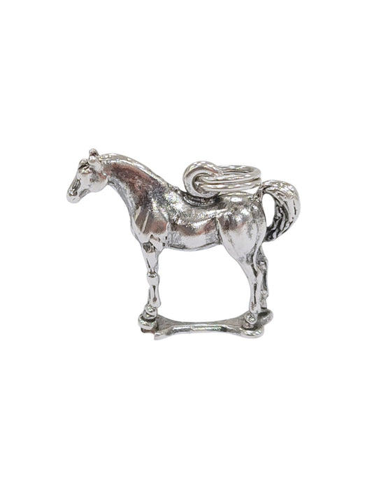 Dije de plata (925)