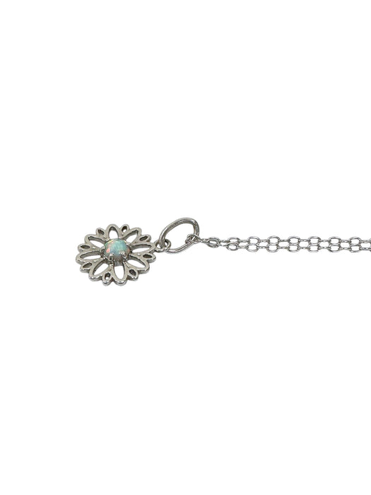 Cadena de plata (925)