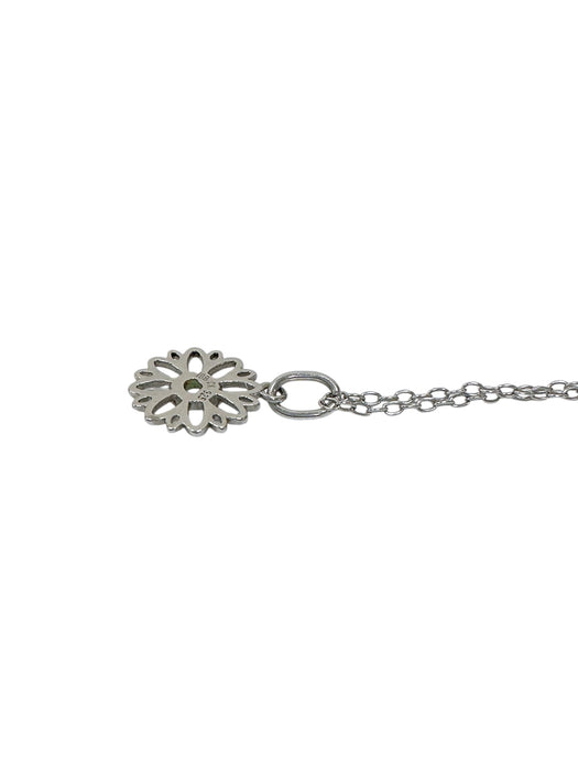 Cadena de plata (925)