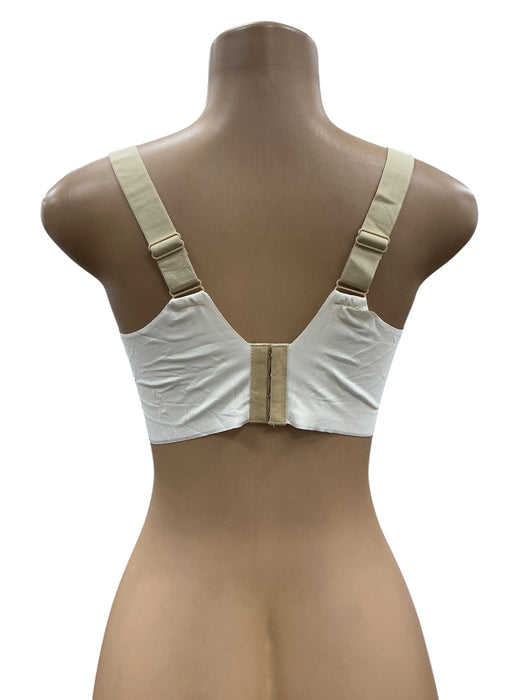 Brasier XL