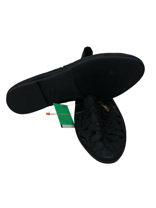 Zapato