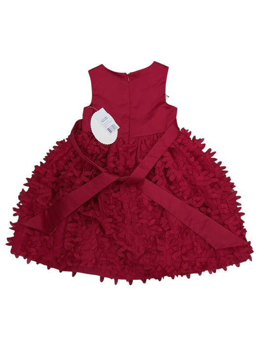 Vestido para niña 5 (AMERICAN PRINCESS)
