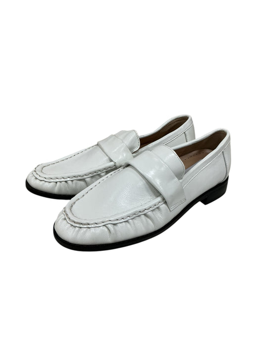 Zapato  (STEVE MADDEN)