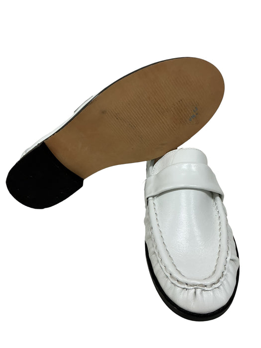 Zapato  (STEVE MADDEN)