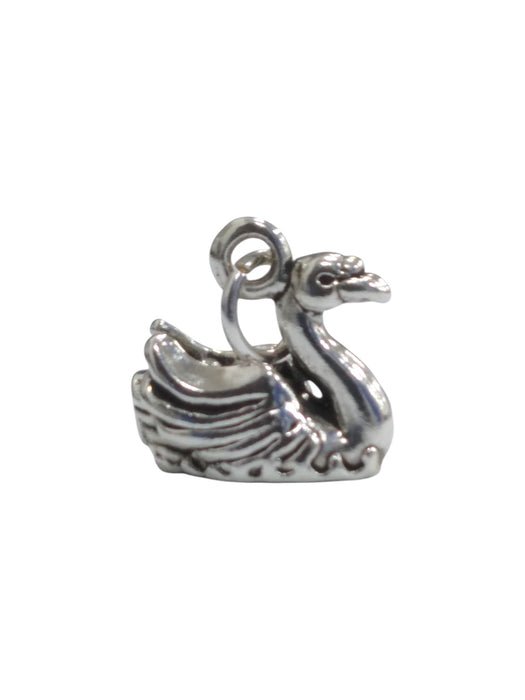 Dije de plata (925)