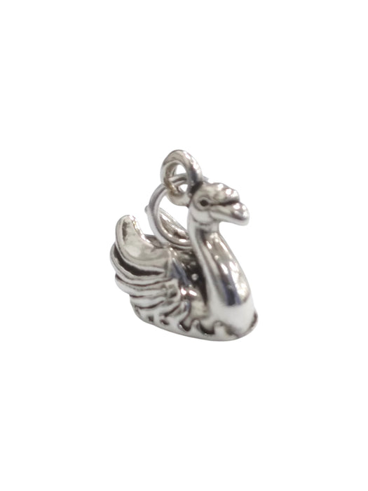 Dije de plata (925)