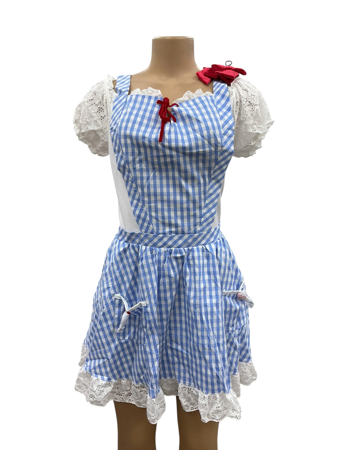 Disfraz de Dorothy (THE WIZARD OF OZ)