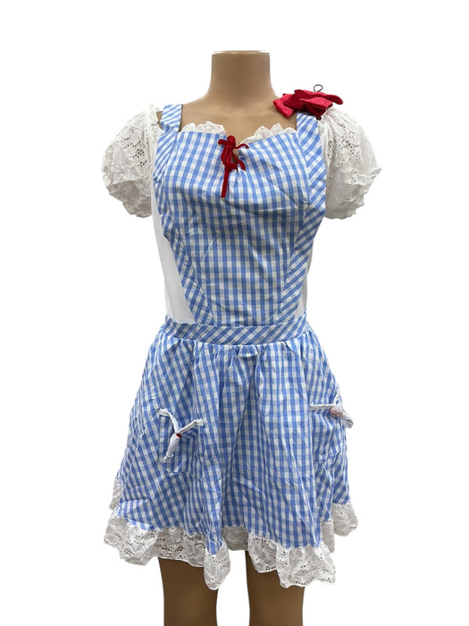 Disfraz de Dorothy (THE WIZARD OF OZ)