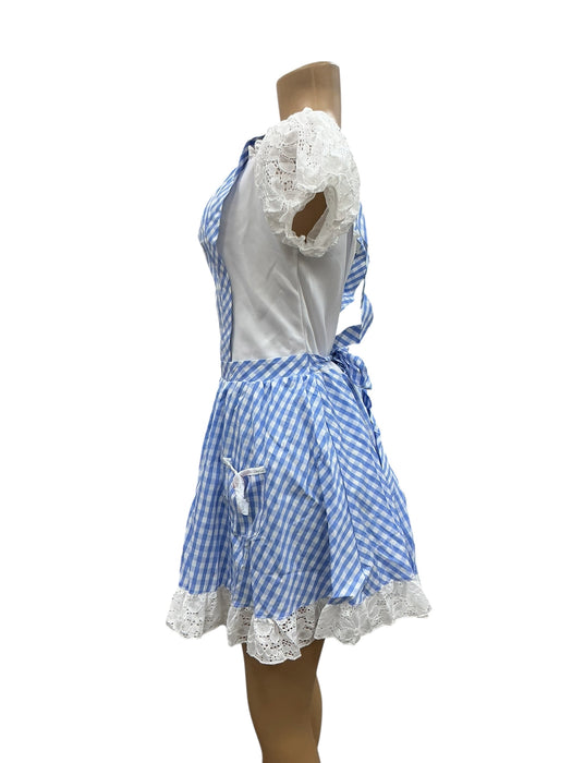 Disfraz de Dorothy (THE WIZARD OF OZ)