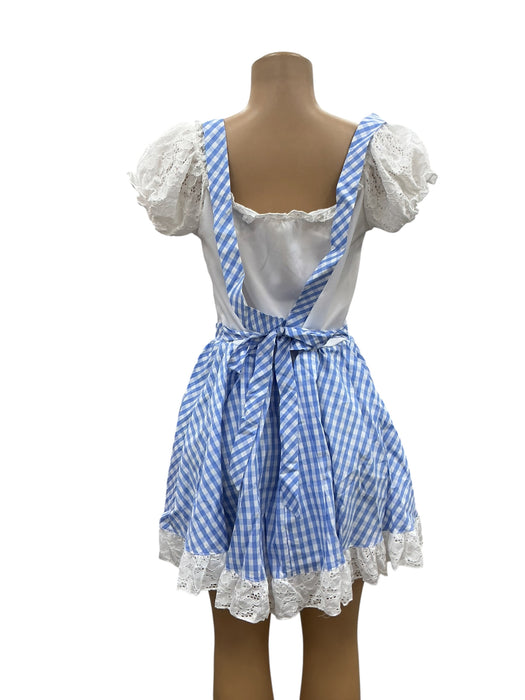 Disfraz de Dorothy (THE WIZARD OF OZ)