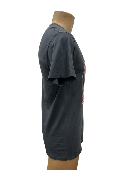 Playera M (DISNEY)
