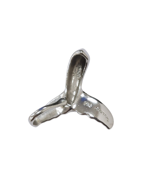 Dije de plata  (925)