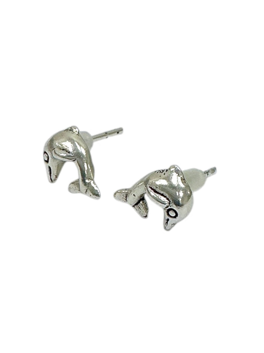 Aretes de plata