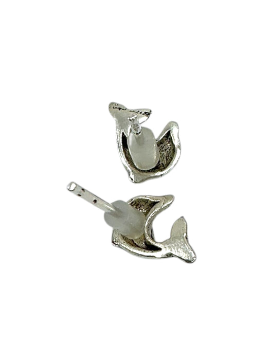 Aretes de plata
