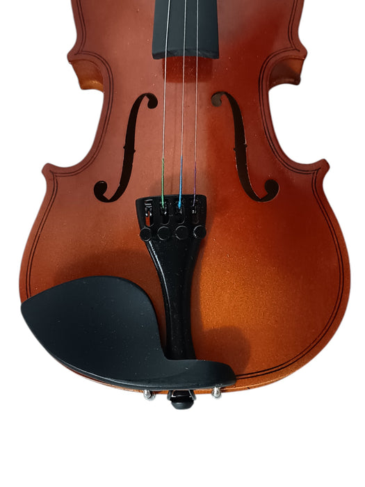 Violín