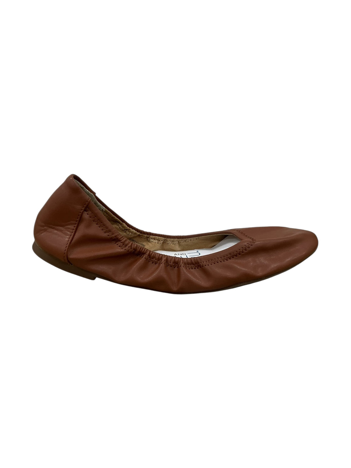 Zapato 8.5 (TIME AND TRU)