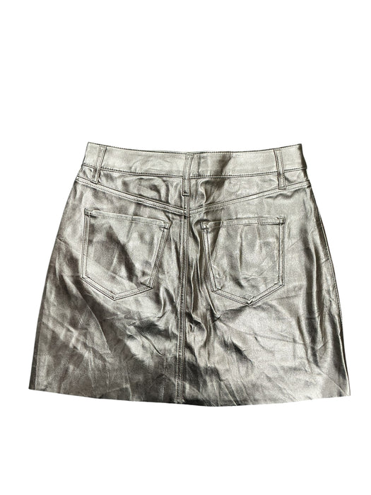 Falda 6 (EXPRESS)