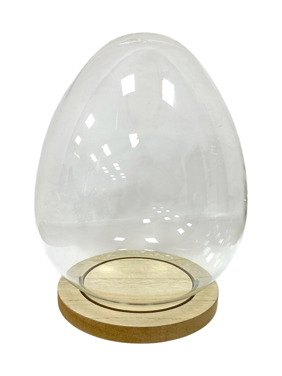 Cupula