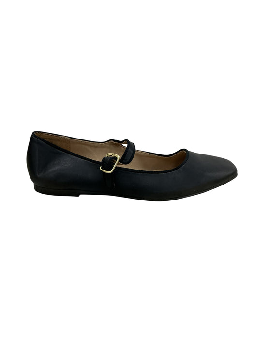 Zapato 7 (TIME AND TRU)