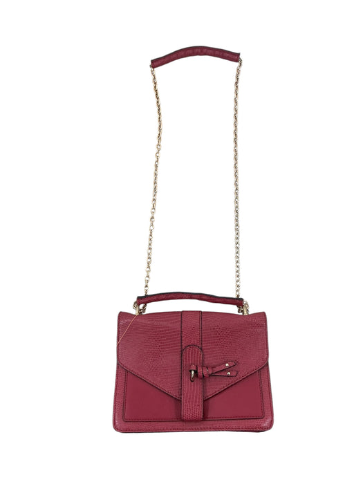 Bolso (ALDO)